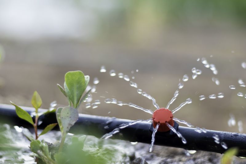 Yard Irrigation Installation in Aiken, SC
